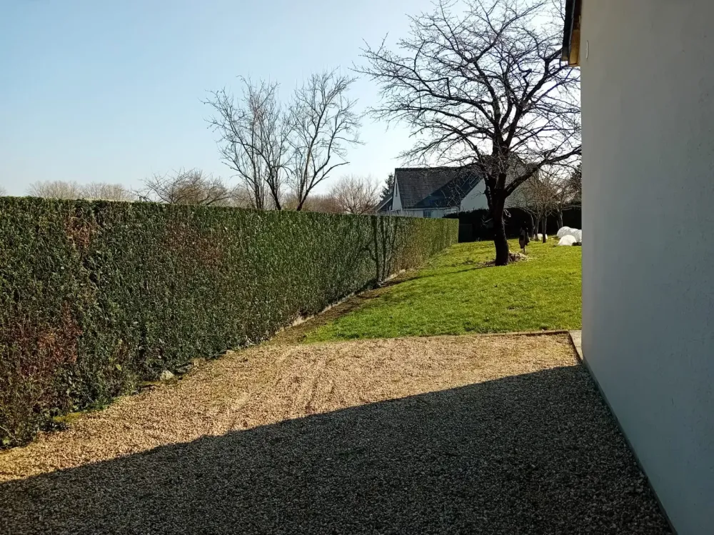 Taille de haies près de Génillé